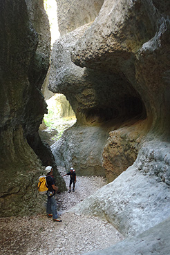 Barranco Basender