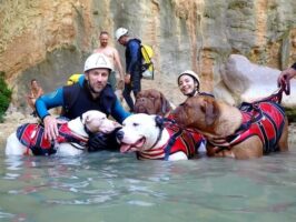 Barranquismo con perros en la Sierra de Guara